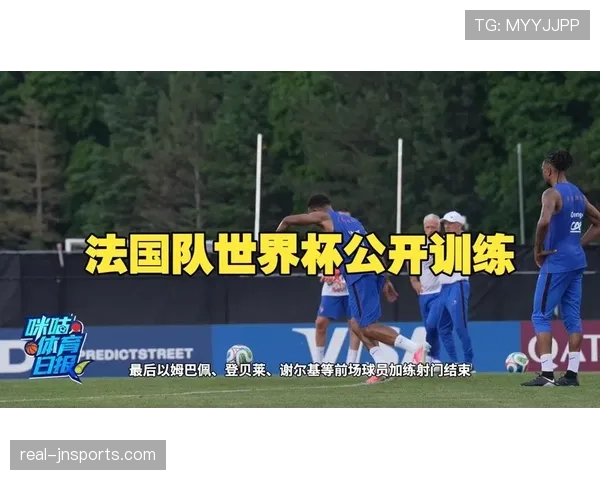 法国队VS塞内加尔前瞻分析